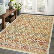 Hasoo 5' x 7' Area Rug for Living Room Modern Floral Thin Carpet Non-Slip Rug Foldable Indoor Rug for Bedroom Kitchen Colorful